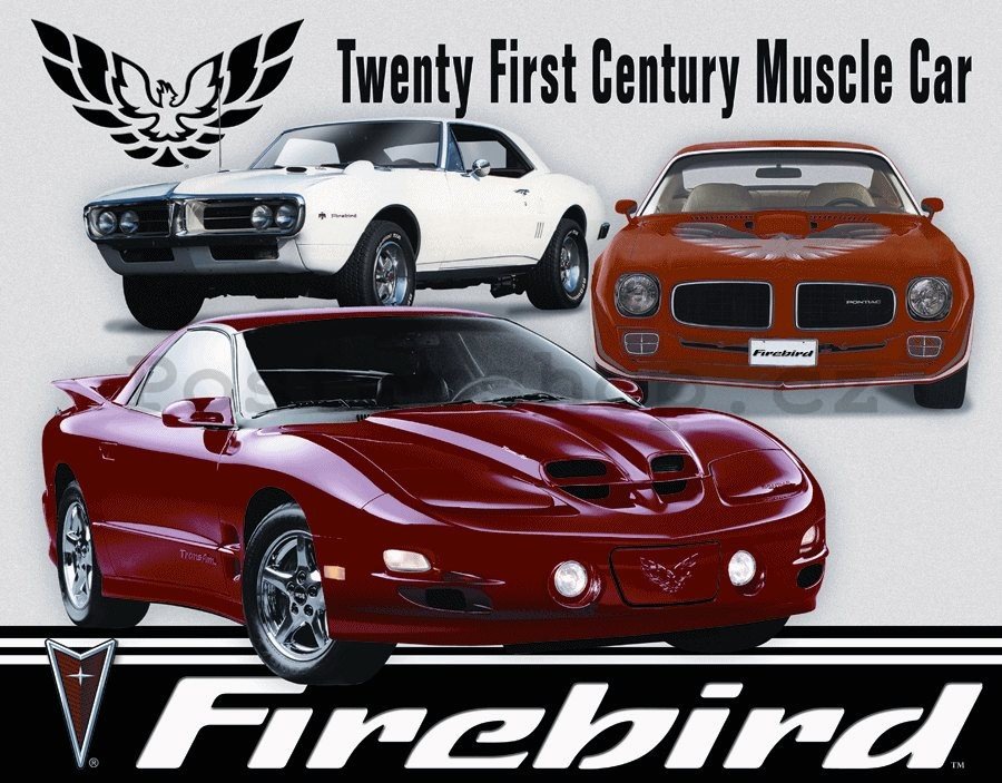 Plechová cedule - Pontiac Firebird