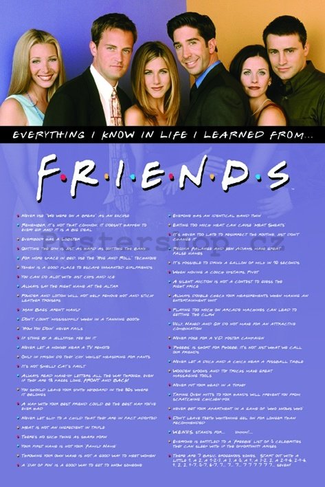 Plakát - Friends (I Learned)