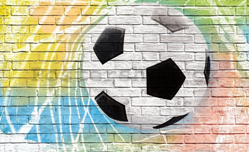 Fototapeta: Fotbalový míč (malovaný) - 254x368 cm
