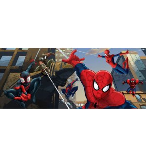 Fototapeta: Spiderman (2) - 104x250 cm