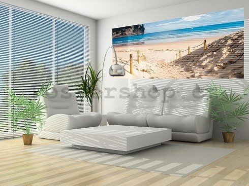 Fototapeta: Písečná pláž (2) - 104x250 cm