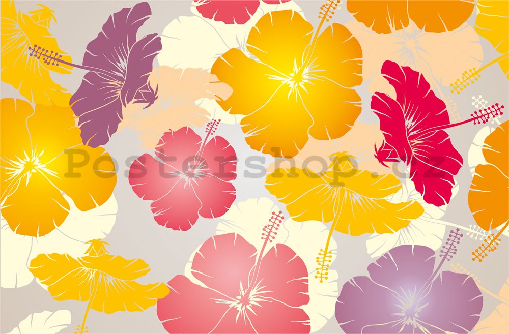 Fototapeta: Pestrobarevné květiny - 184x254 cm