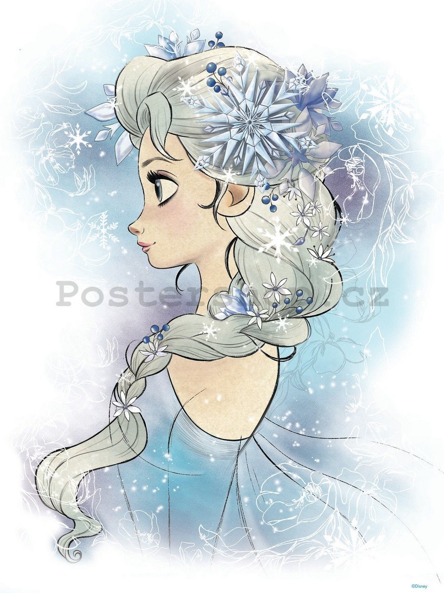 Fototapeta: Frozen Elsa (1) - 254x184 cm