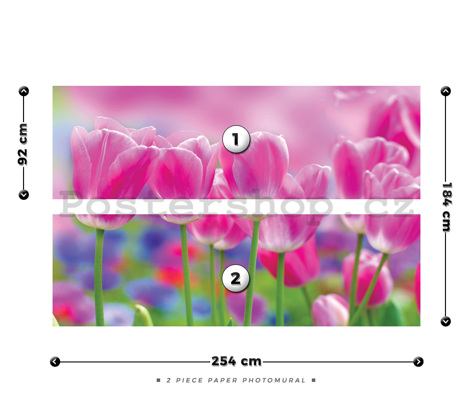 Fototapeta: Fialové tulipány - 184x254 cm