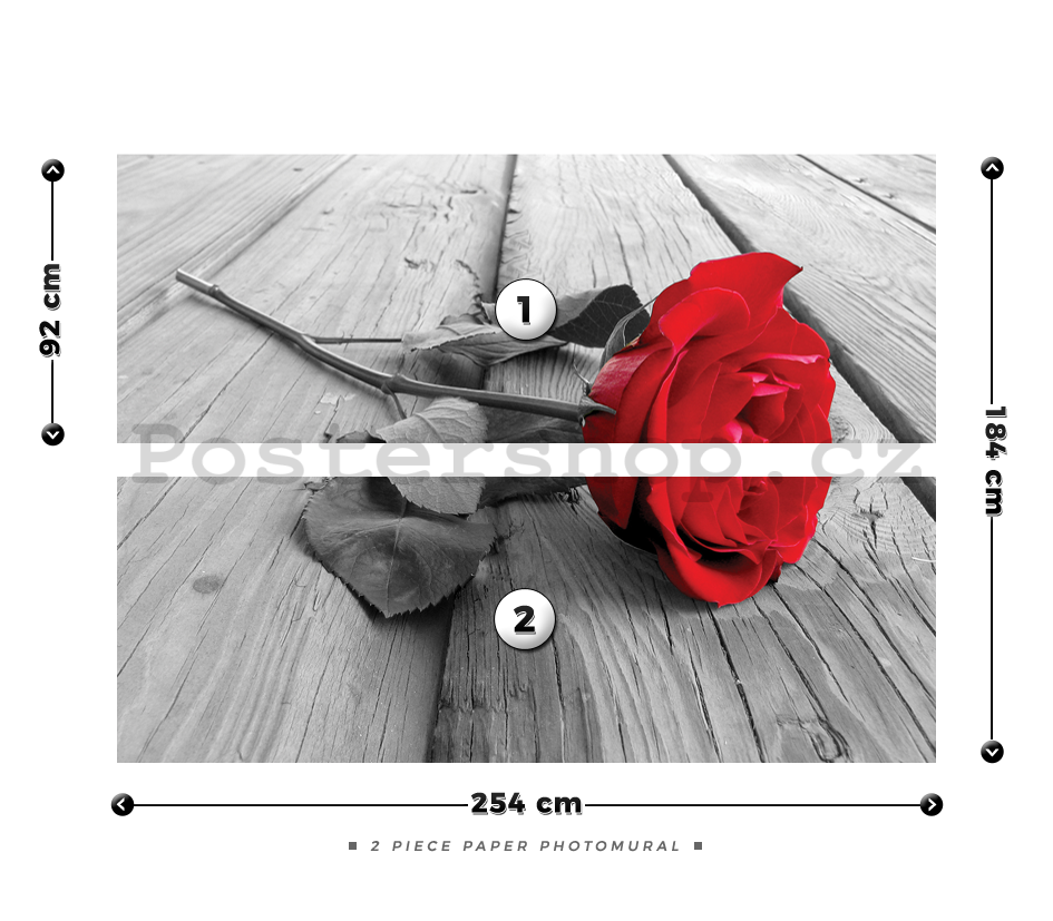 Fototapeta: Červená růže - 184x254 cm