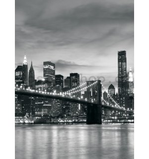 Fototapeta: Brooklyn Bridge - 254x184 cm