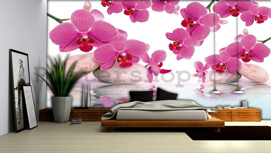 Fototapeta vliesová: Orchidej a kameny - 184x254 cm