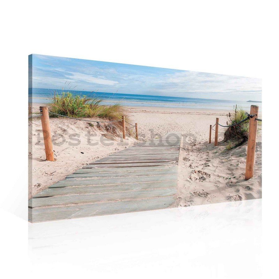 Obraz na plátně: Pláž (3) - 75x100 cm