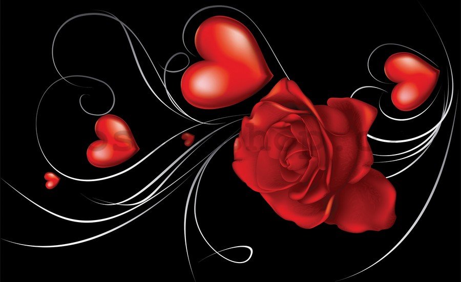 Fototapeta vliesová: Růže a Srdce - 254x368 cm