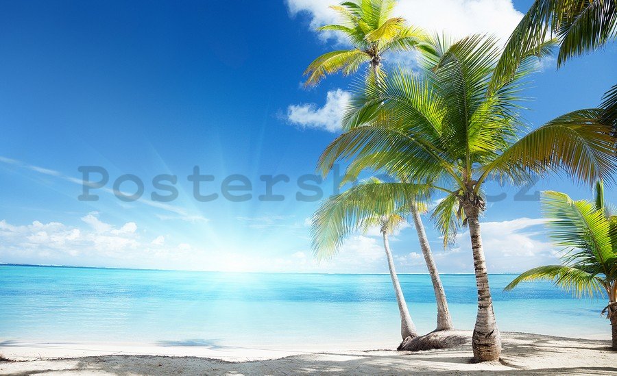 Fototapeta vliesová: Palmy na pláži - 254x368 cm