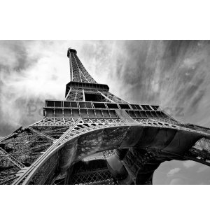 Fototapeta vliesová: Eiffelova věž (2) - 254x368 cm