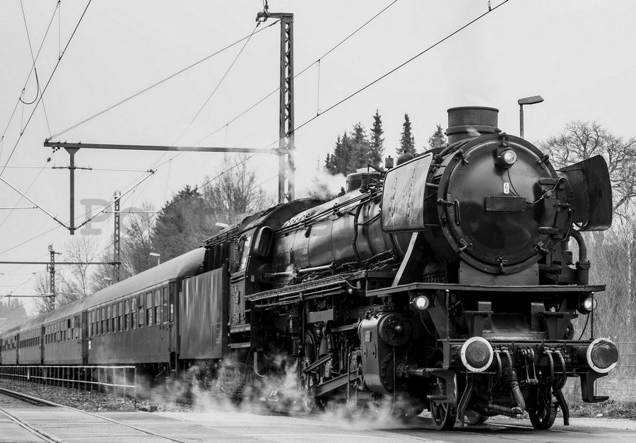 Fototapeta vliesová: Parní lokomotiva (černobílé) - 254x368 cm