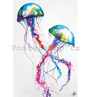Plakát - Jellyfish, Marc Allante