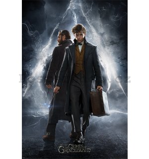Plakát - Fantastická zvířata Grindelwaldovy zločiny (Newt & Dumbledore)
