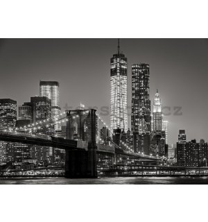 Fototapeta vliesová: Brooklyn Bridge (4) - 184x254 cm