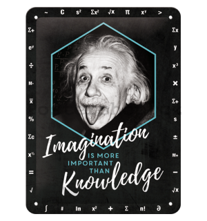 Plechová cedule: Einstein (Imagination & Knowledge) - 20x15 cm