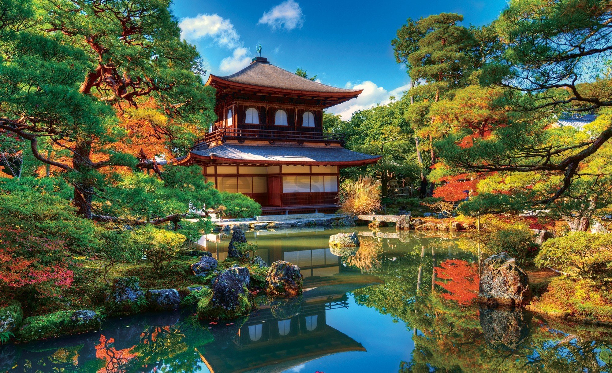 Fototapeta vliesová: Japonská zahrada - 416x254 cm