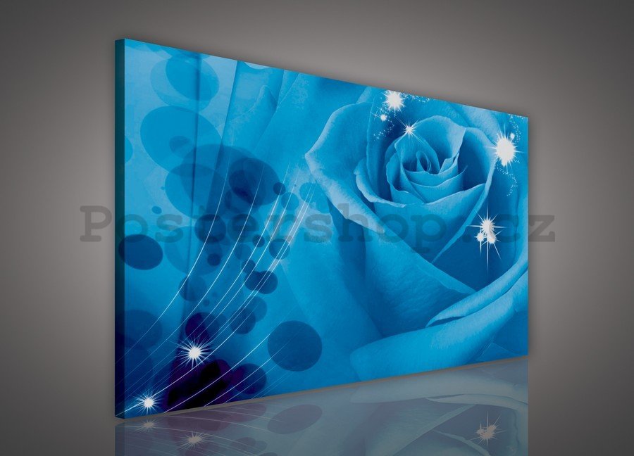 Obraz na plátně: Modrá růže (1) - 75x100 cm