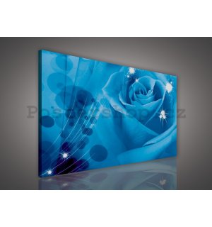 Obraz na plátně: Modrá růže (1) - 75x100 cm