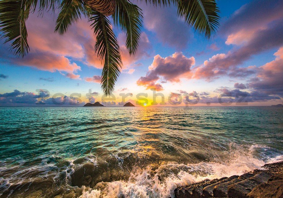 Obraz na plátně: Tropický ráj (3) - 75x100 cm