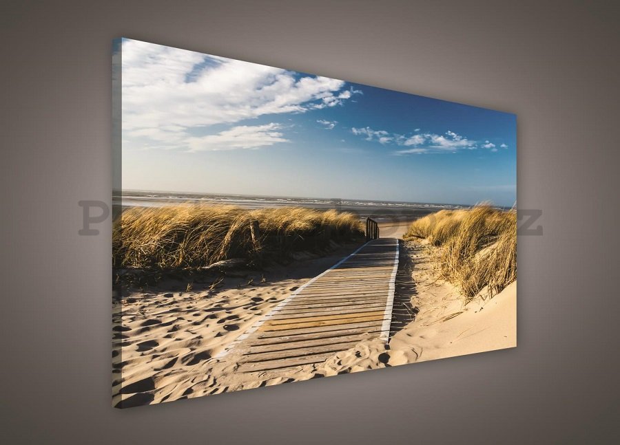 Obraz na plátně: Cesta na pláž (2) - 75x100 cm