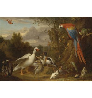 Fototapeta: Ducks, Parrots and Other Birds in a Landscape - 104x152,5 cm