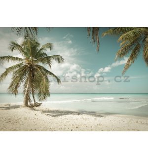 Fototapeta vliesová: Palmy nad mořem - 254x368 cm