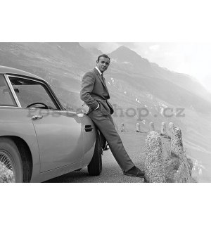 Plakát - James Bond (Connery & Aston Martin)