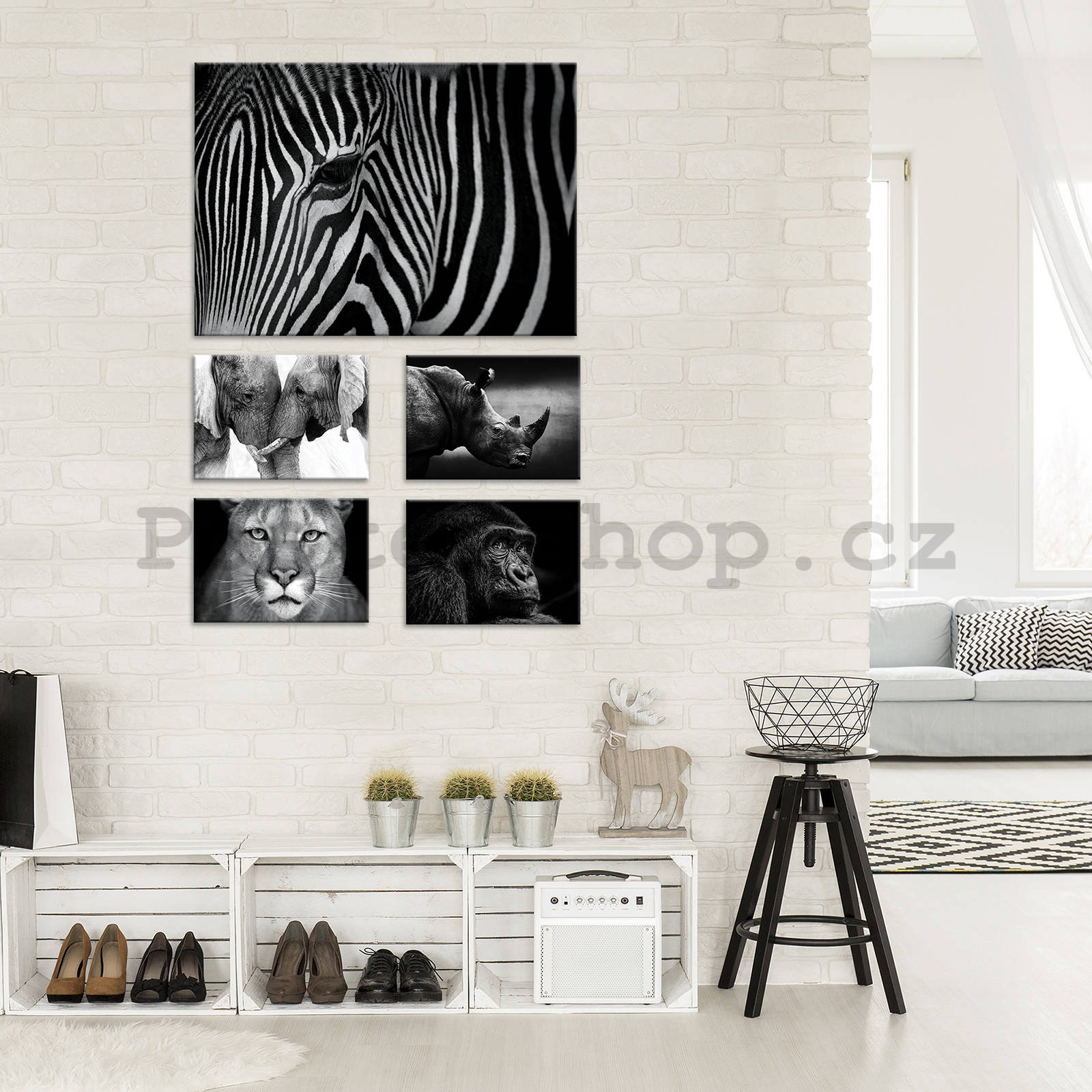 Obraz na plátně: Černobílá zvířata (2) - set 1ks 70x50 cm a 4ks 32,4x22,8 cm