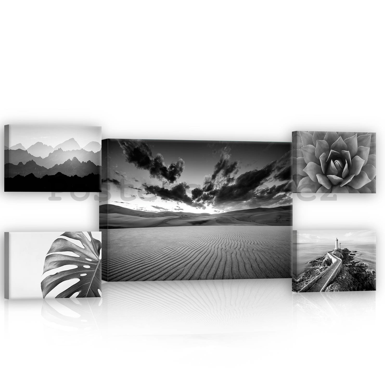 Obraz na plátně: Černobílé pohledy (1) - set 1ks 70x50 cm a 4ks 32,4x22,8 cm
