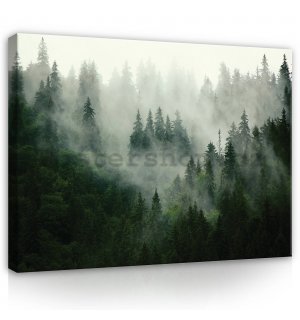 Obraz na plátně: Mlha nad lesem (1) - 100x75 cm