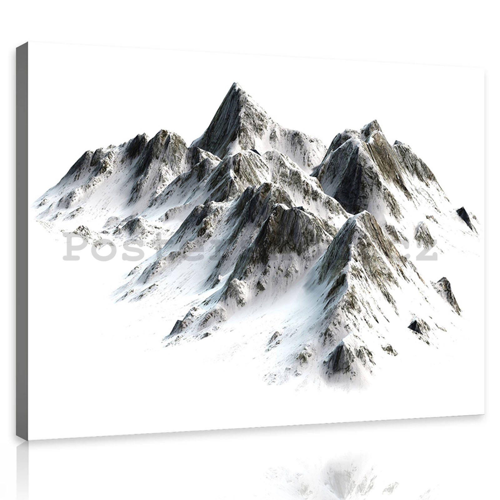 Obraz na plátně: Zasněžené hory - 80x60 cm