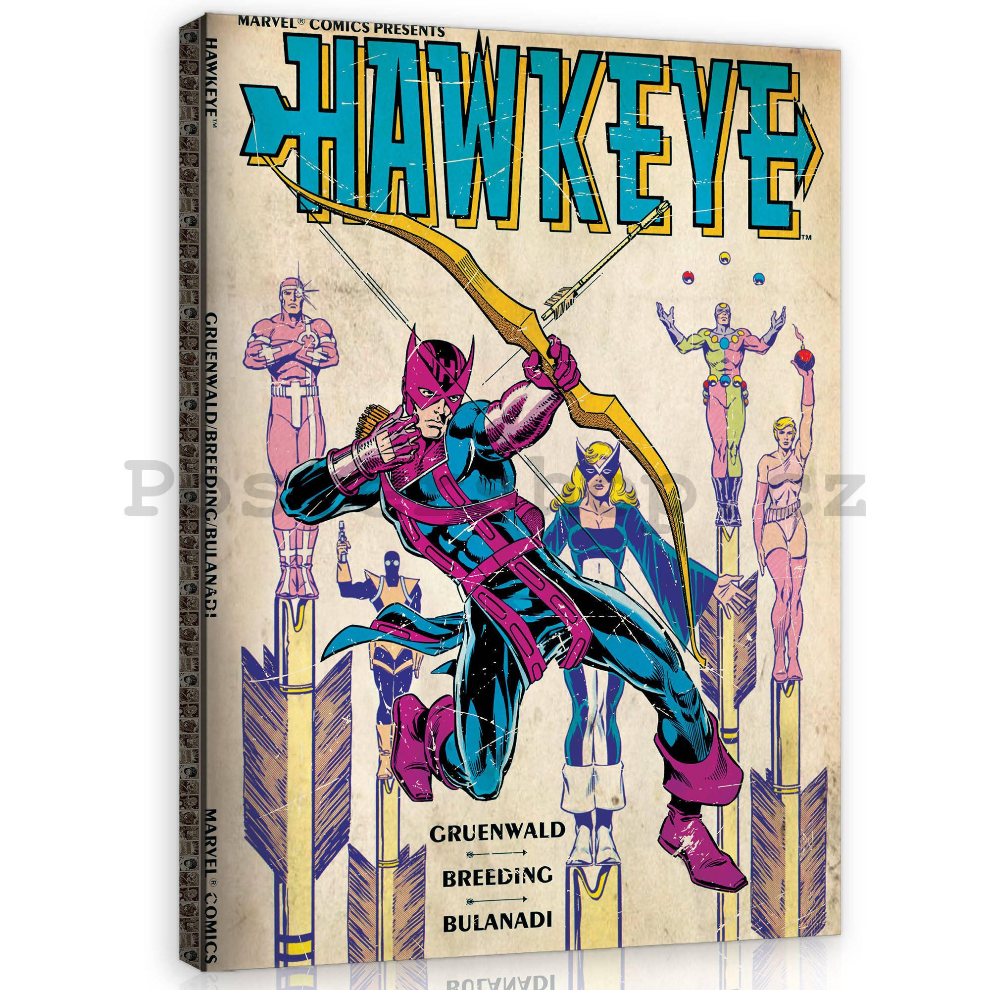 Obraz na plátně: Hawkeye - 60x80 cm