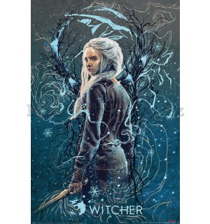 Plakát - Zaklínač, The Witcher (Ciri the Swallow)