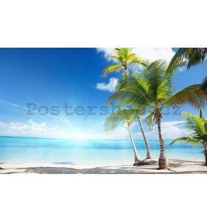 Fototapeta vliesová: Palmy na pláži - 254x184 cm