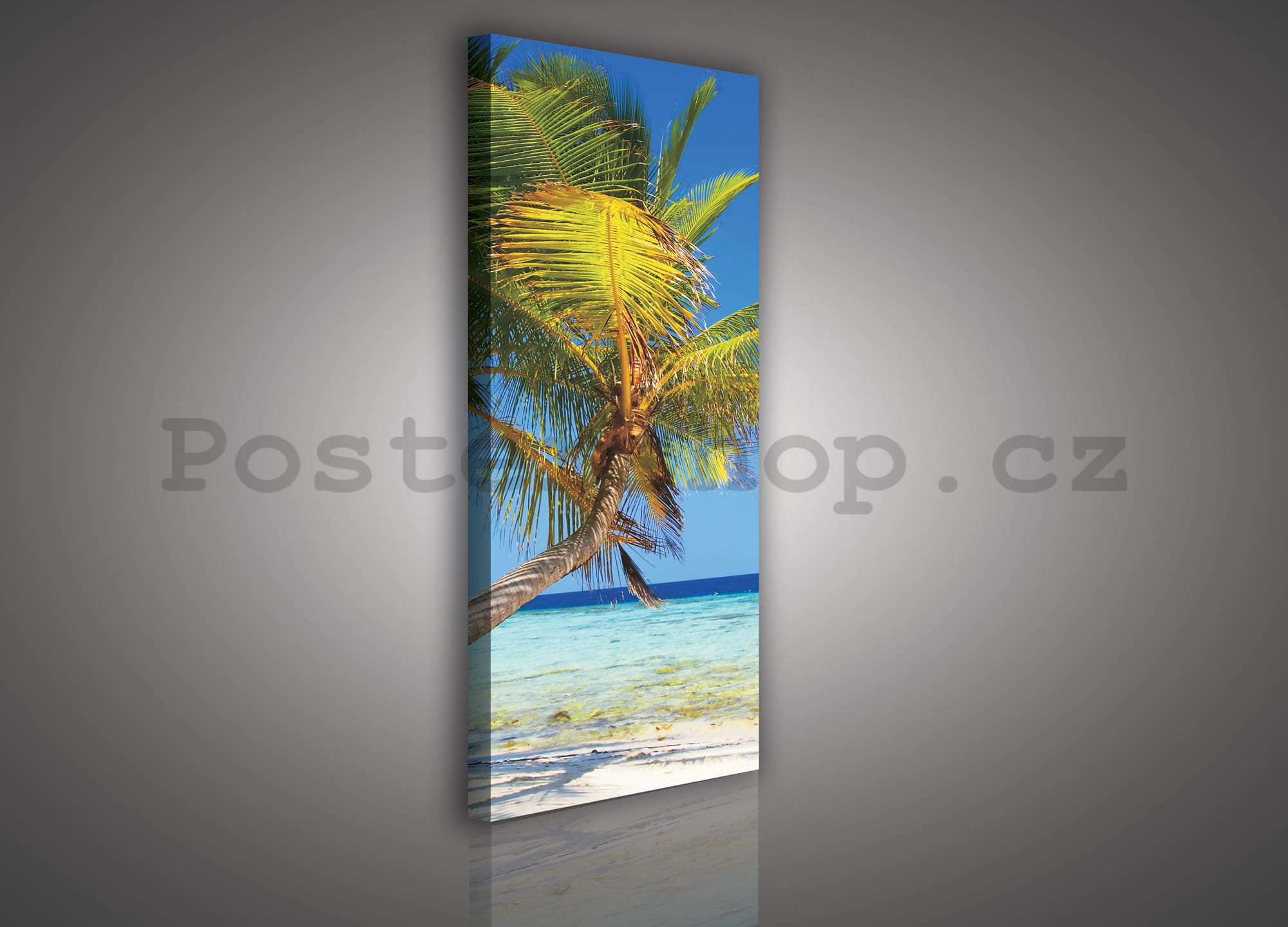 Obraz na plátně: Pláž s palmou - 45x145 cm