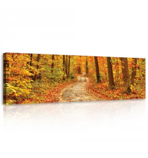 Obraz na plátně: Barvy podzimu (les) - 145x45 cm