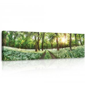 Obraz na plátně: Kvetoucí lesní cesta - 145x45 cm