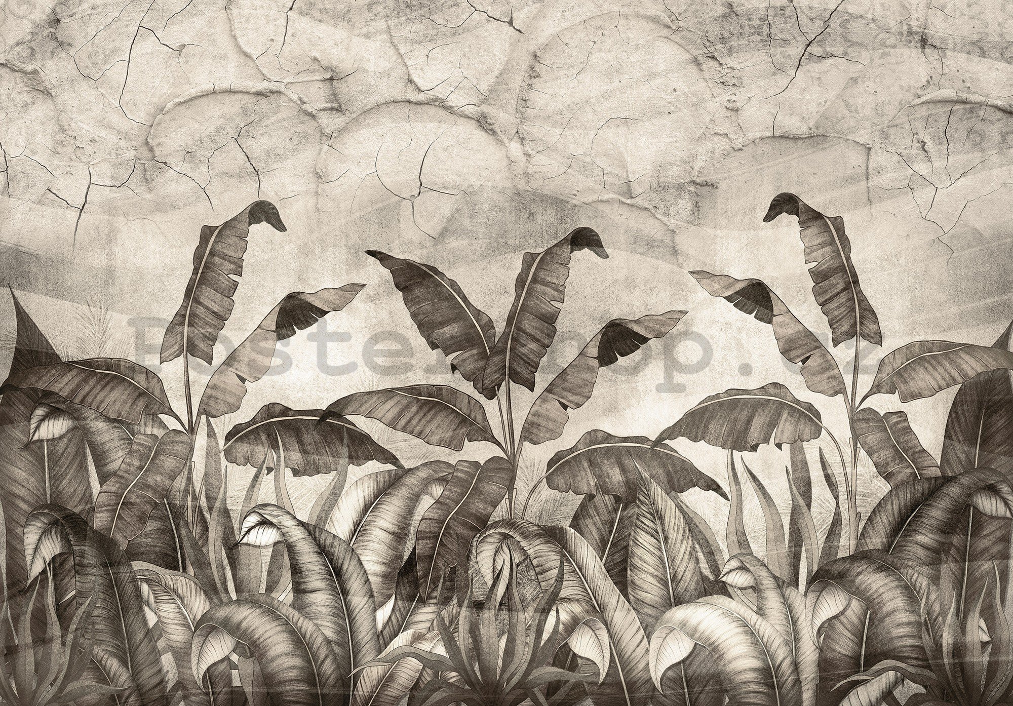 Fototapeta vliesová: Imitace přírodních listů černobílé - 254x184 cm