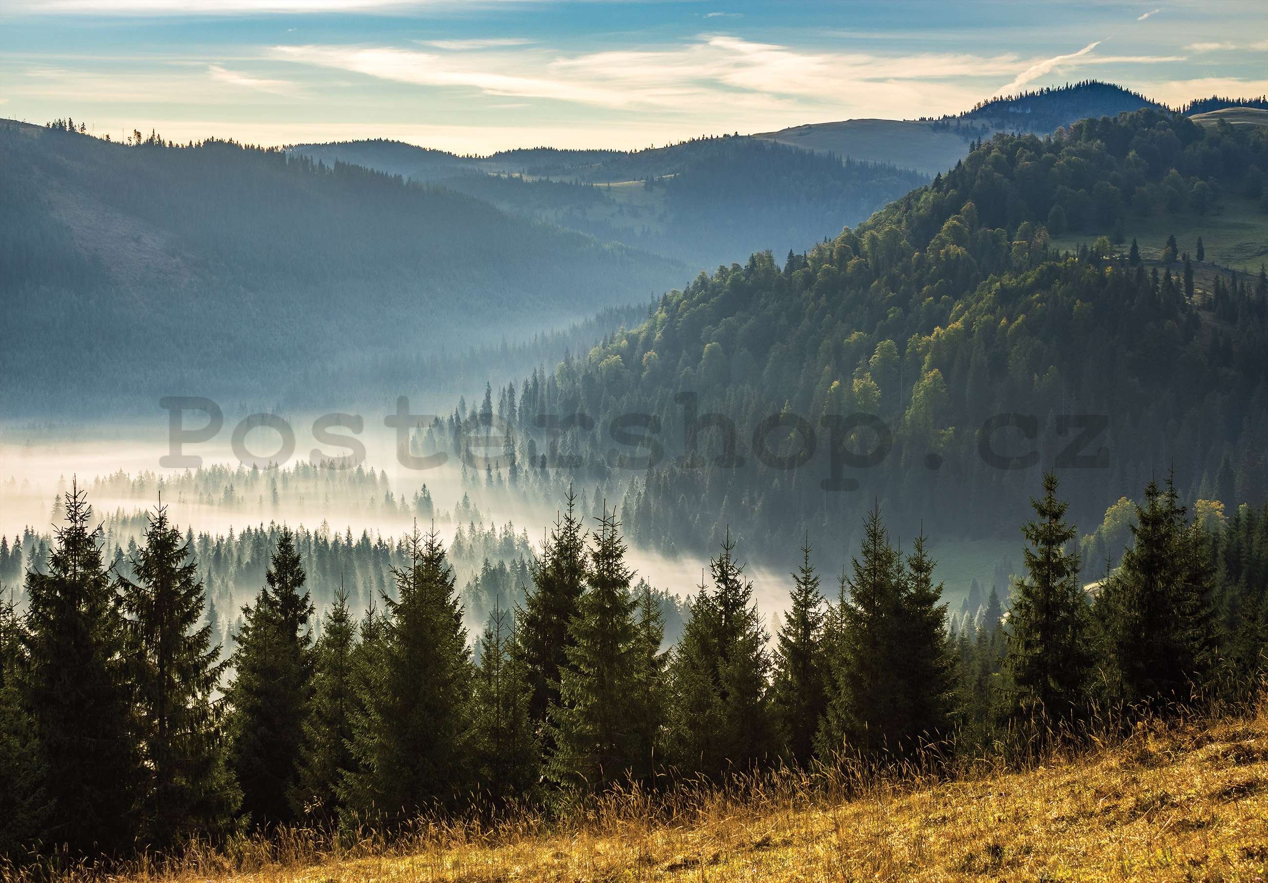 Fototapeta vliesová: Lesní příroda horská krajina - 152,5x104 cm