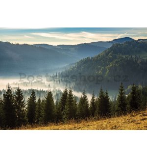 Fototapeta vliesová: Lesní příroda horská krajina - 416x254 cm