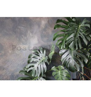 Fototapeta vliesová: Imitace listů (betonové pozadí) - 416x254 cm