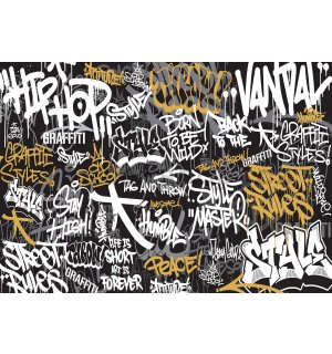 Fototapeta vliesová: Graffiti (tříbarevné) - 254x184 cm