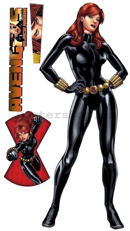 Samolepka na zeď - Avengers Black Widow (2)