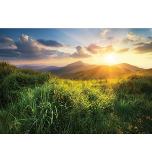 Fototapeta vliesová: Východ slunce na horách - 416x254 cm