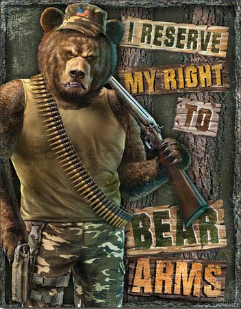Plechová cedule – Right to Bear Arms