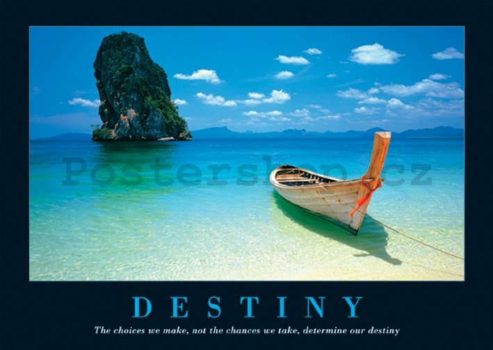 Plakát - Destiny (1)