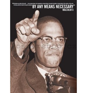 Plakát - Malcolm X