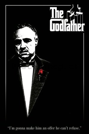Plakát - Godfather red rose