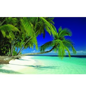 Plakát - Maldives Beach